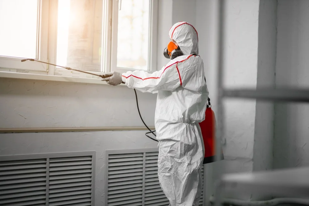 Professional mold remediation services in Thorofare, NJ